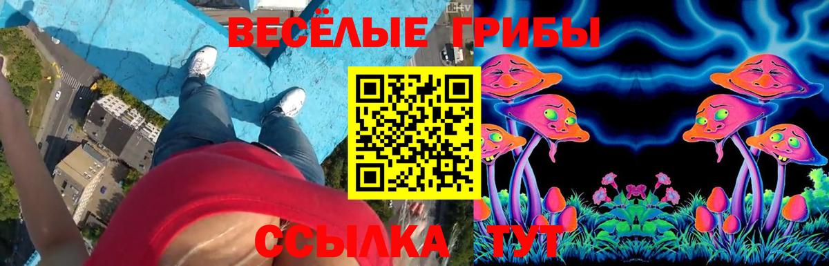 Галлюциногенные грибы ЛСД Куйбышев
